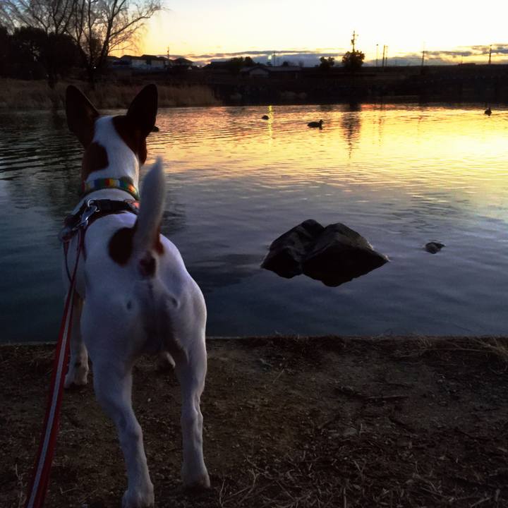 Cd5a30b1 bb75 4952 b7f1 e25843796b55