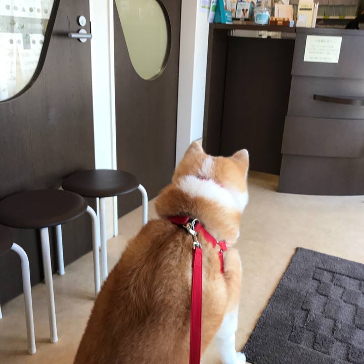 Cd5a7ee0 5864 40b0 b79c e576b523947d