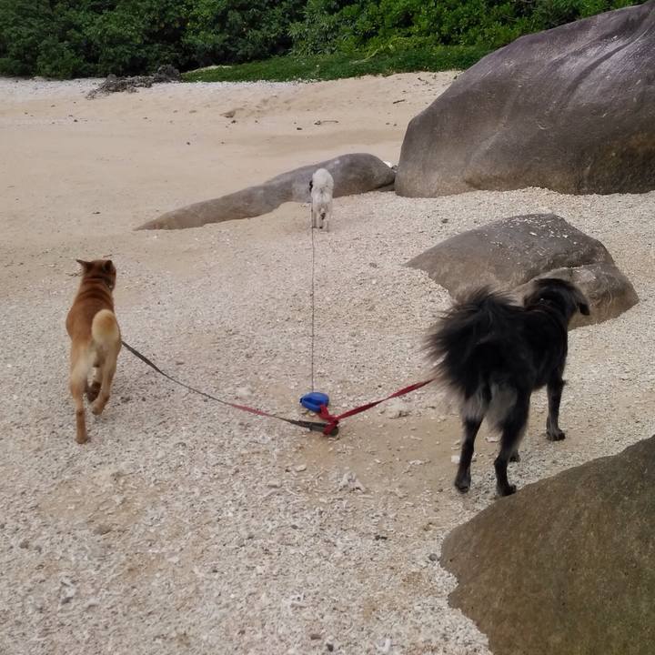 Cd5aa6b5 b46a 4b69 a6ec 39c773141f32