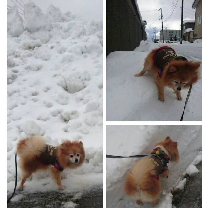 Cd5abefc 65ac 43d5 ae78 4deb962f1ef6