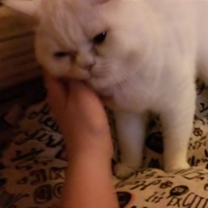 Cd5abf92 f9ad 4af4 a5a1 011f6c91ae43