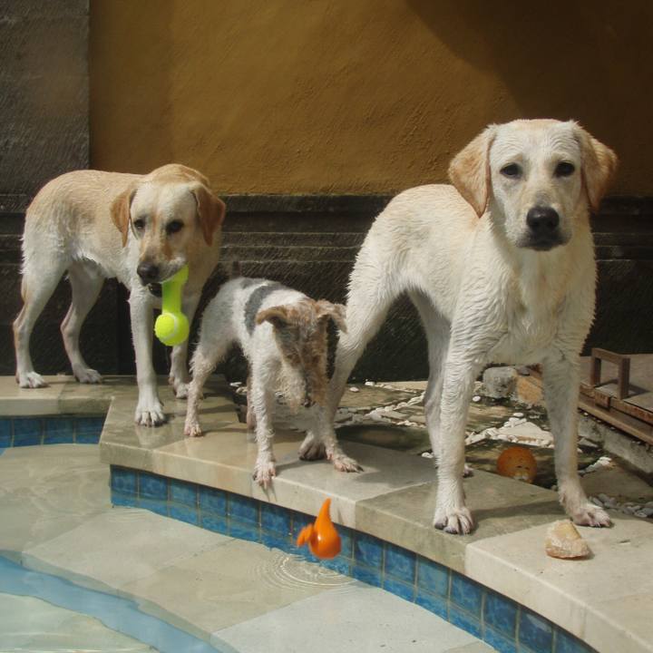 Cd5b15d3 7e6e 4d5a b71a 3d6190faa12b