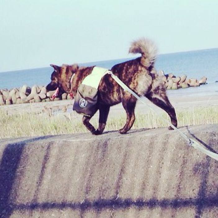 Cd5c3960 edc7 4f44 b7b1 858737536311