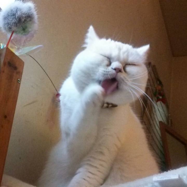 Cd5c4bde 6784 4c1a 92be 547453f335c7