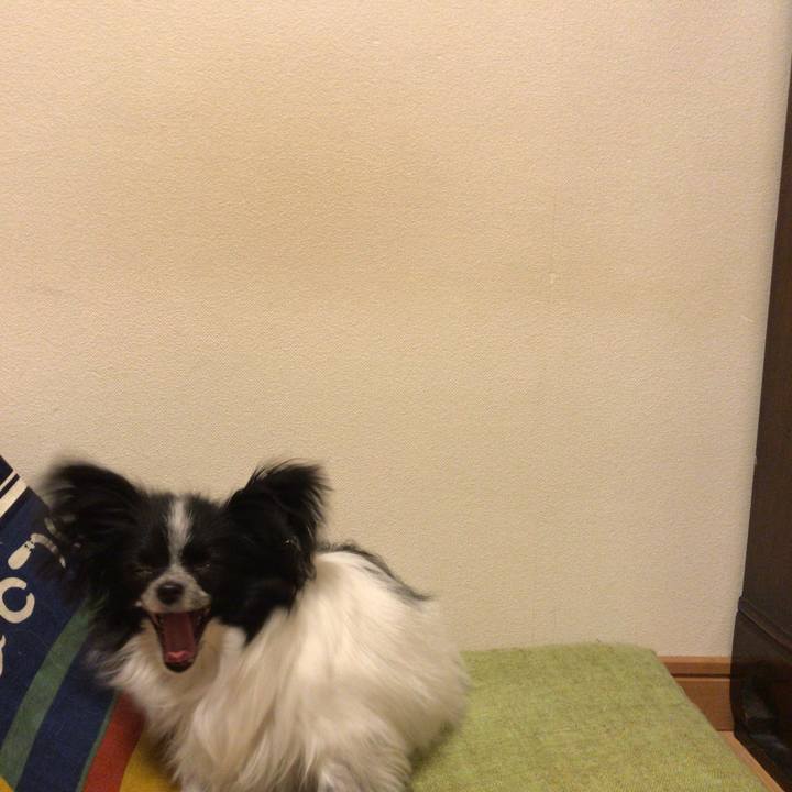 Cd5c7a7a 498c 4899 90d4 a36cd63ce504