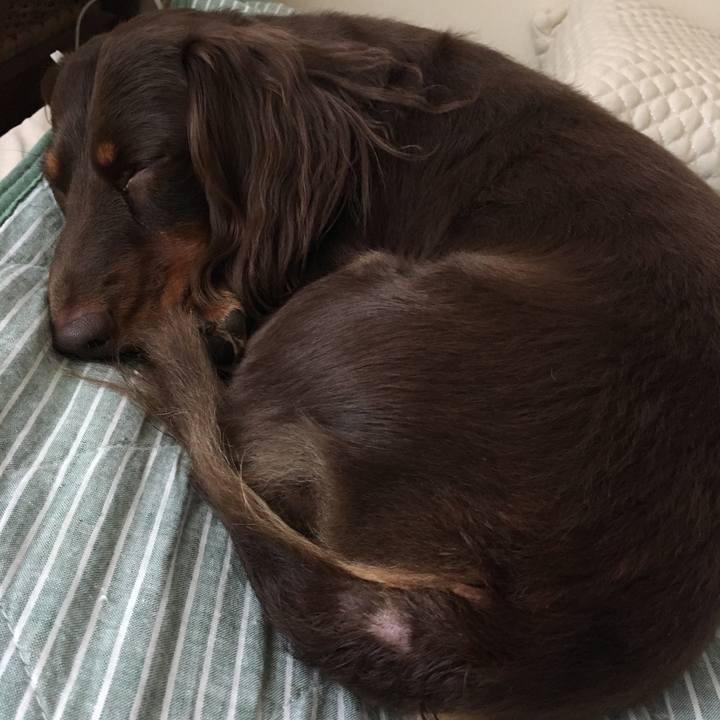 Cd5e01c4 2ae0 496e bcdf 54bfbdd86d79