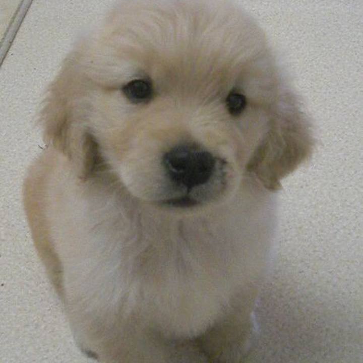 Cd5e3e5a e468 4eea 9365 aca6749c5ea5