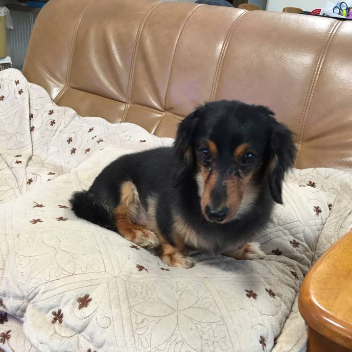 Cd5e955d f030 4799 8bee 561761574d6e