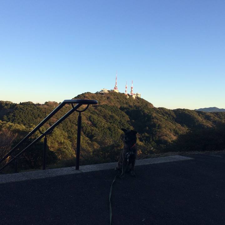 Cd5ea970 a658 447e 90b0 34e52e0f5147