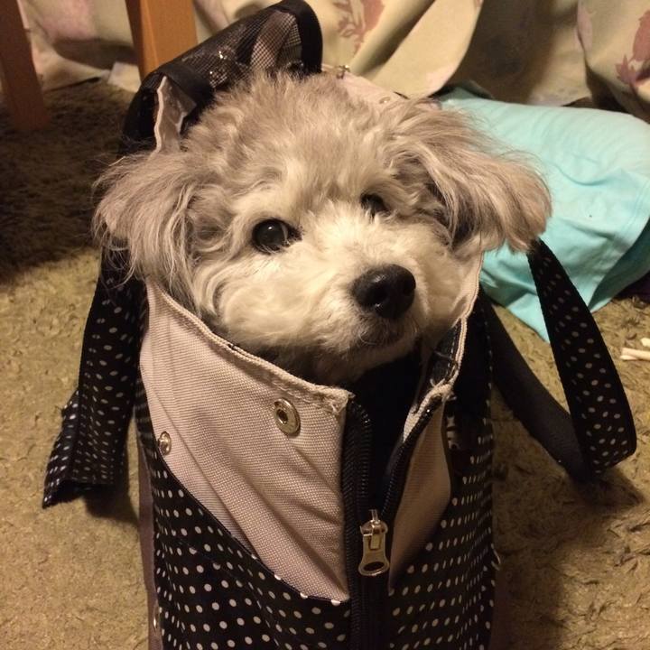 Cd5f1dcb 2701 4159 a00d 9122bb0bf7ef