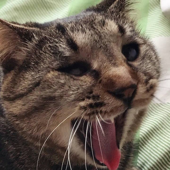 Cd5ff877 de82 4f56 83e2 27640e7d4152