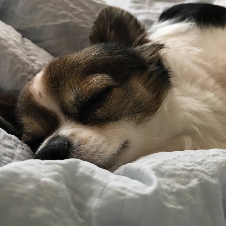 Cd602329 a289 4ef8 8189 9581ec16e425