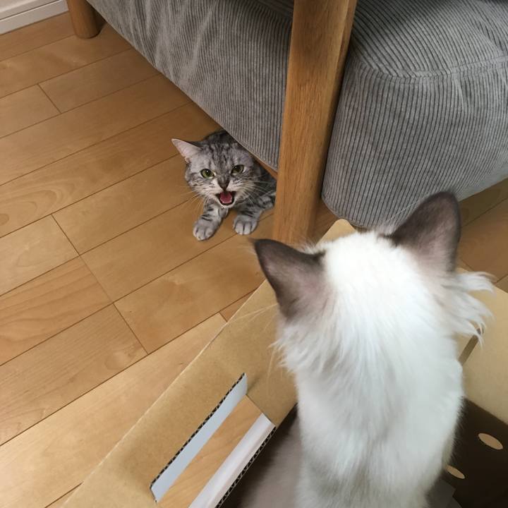 Cd6025ee 31f9 44fa 897e 24f2526e8cd5