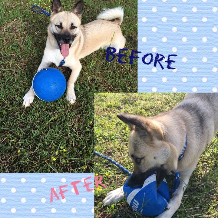 Cd602c1c 5b8b 40af 9e79 caab580d7b2a