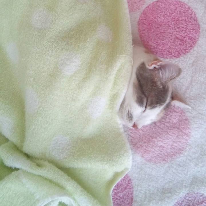 Cd603c83 5948 46af 8033 b7e58c464654