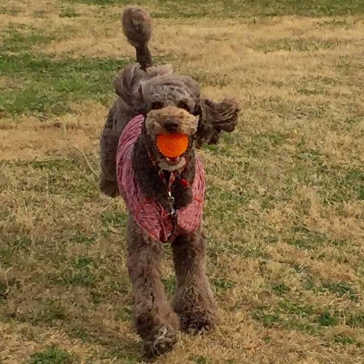 Cd6087cd b6d8 46d6 9193 3e90dbf11903