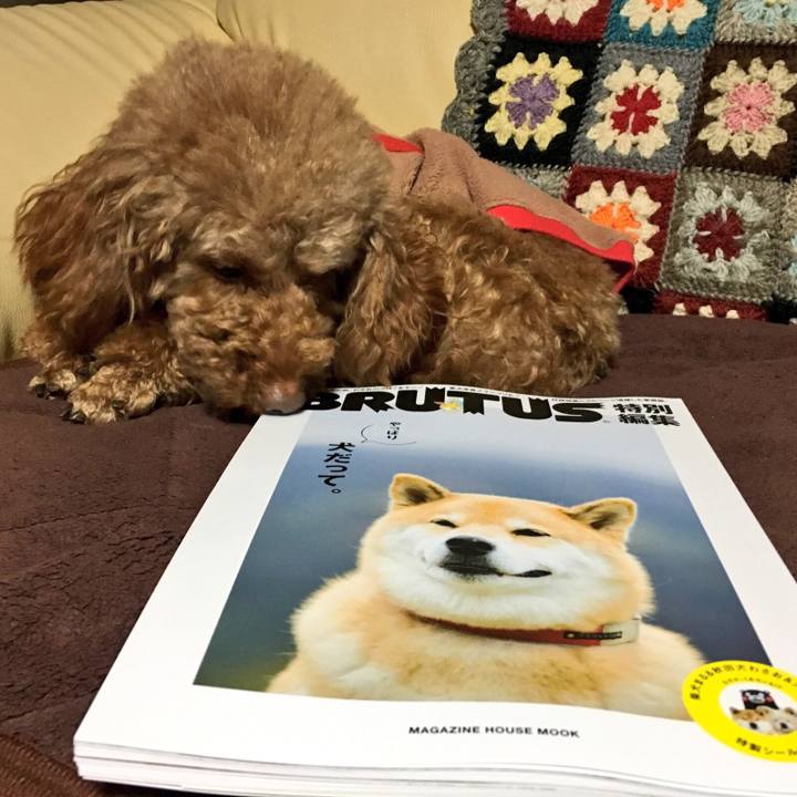 Cd60e816 1569 416f 8cb7 5204976faa56