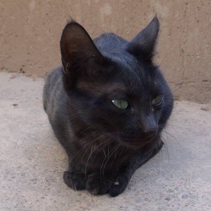 Cd60f10b 8f5d 4417 9644 e3ccb46d3768