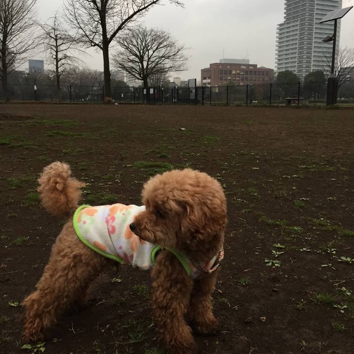 Cd616b09 0403 4426 a33c ad2447bbac10