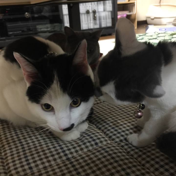 Cd61fec1 598b 489c 8ea9 125443480a9a