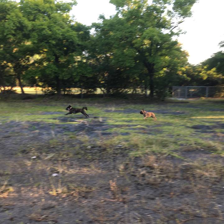 Cd6297e7 0e93 4285 9f84 b214a337f950