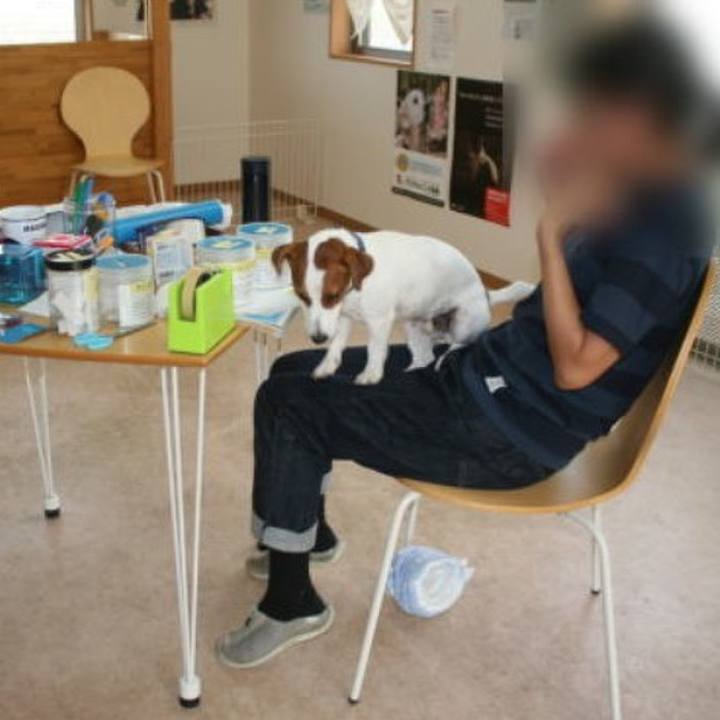 Cd62fccb fc40 40a7 8bd5 41f94b16dfa3