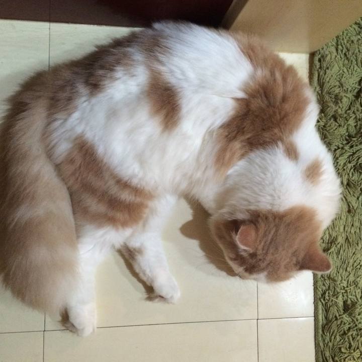 Cd635339 1184 42a4 8d97 20f9474ee8ca