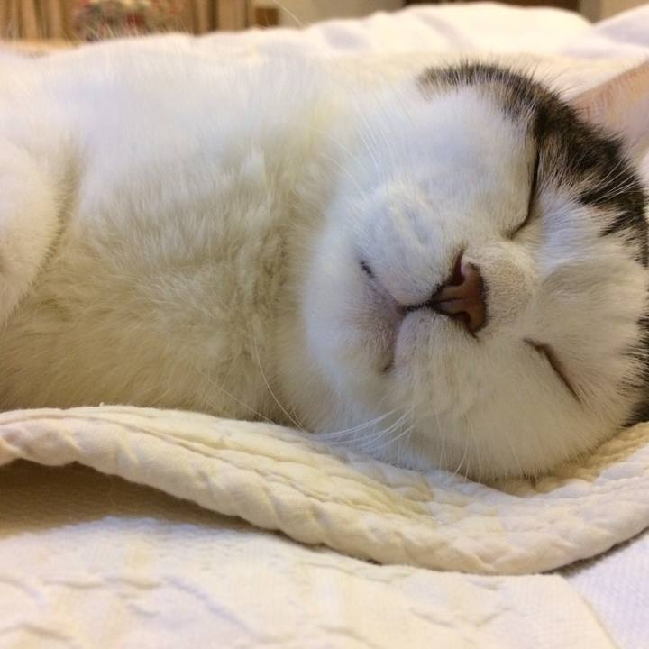 Cd6358cb 16a8 41b6 ad86 cbaf1bb10c02