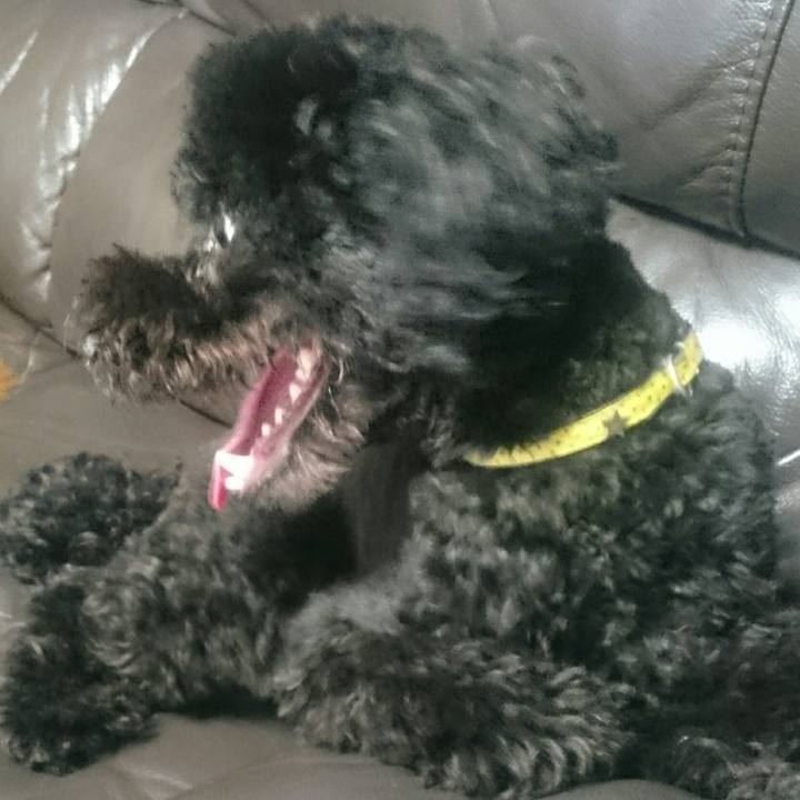 Cd63ae29 a59b 4fca 90dd cdeb57717f32