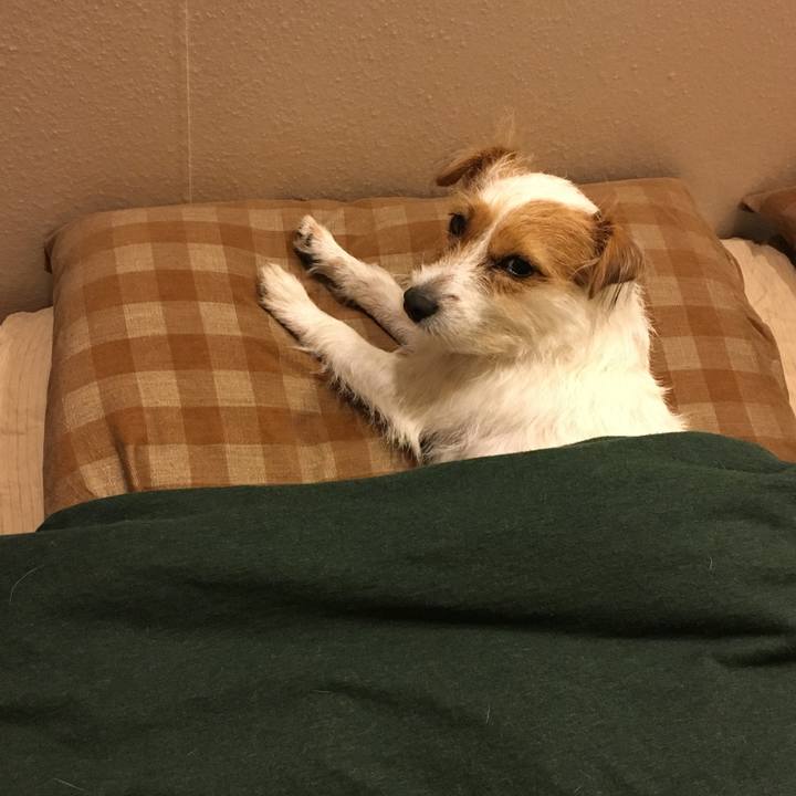 Cd64b3f5 480e 48a0 b1b5 3a6dcd78d936