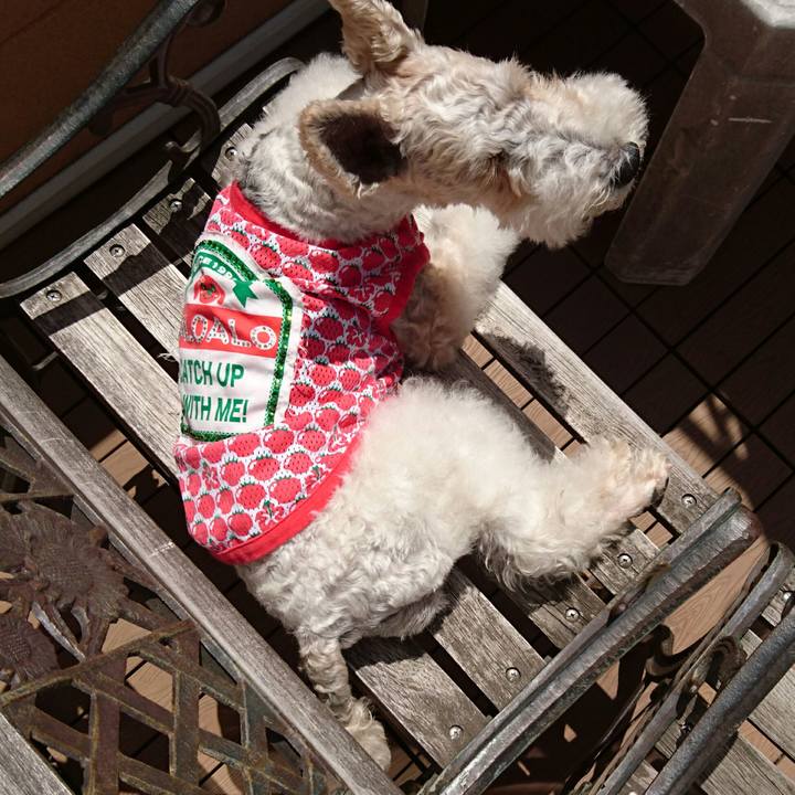 Cd64c768 feb9 456e ae84 e04c10dddf68