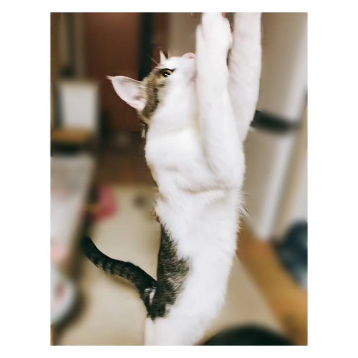 Cd653c8b 1399 4872 9069 00f883047e50