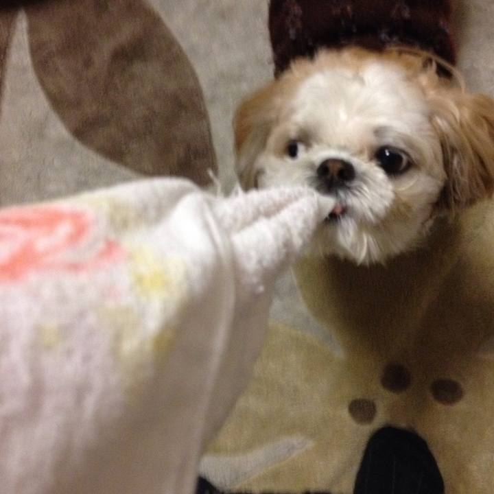 Cd6545e1 ca37 4ec3 a08d c0443511e9dd