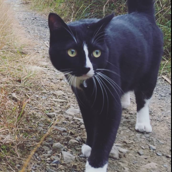 Cd6585e6 ca0e 4535 b7af ec5b1f35a5fe