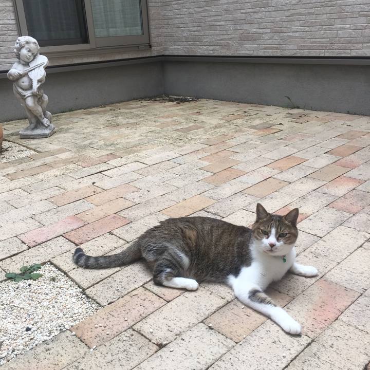 Cd6591e4 ca57 4cd6 af9e 63ed3b42143f