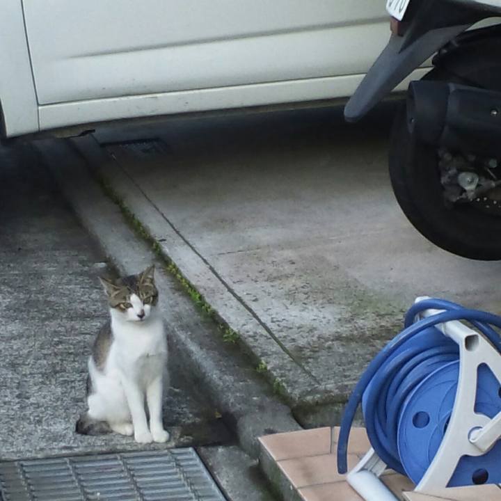 Cd6624c5 ddc8 4c56 85e9 91cc5b69004d