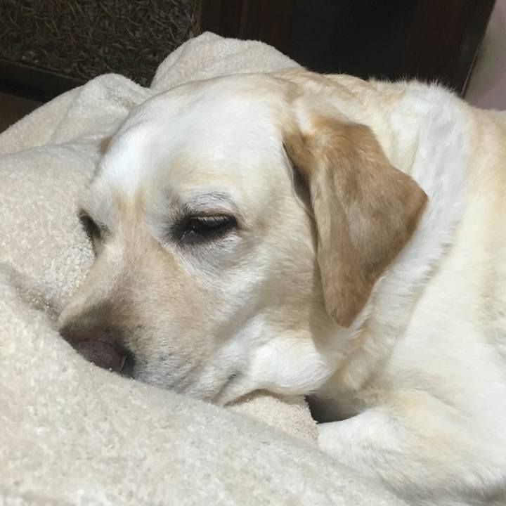 Cd663a20 1c97 40f5 ba5a be49d6a0233c