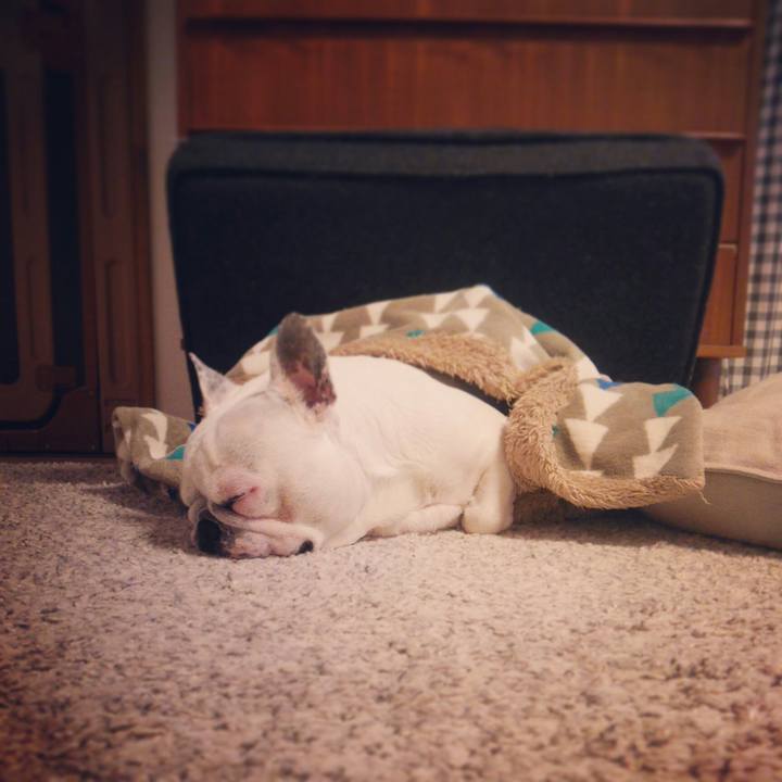 Cd663de9 11d1 4e27 93d3 74fafa1d4b61