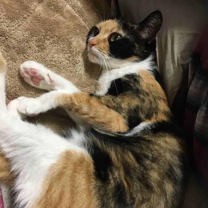 Cd667b82 11c0 40db b616 129b9ea6e853