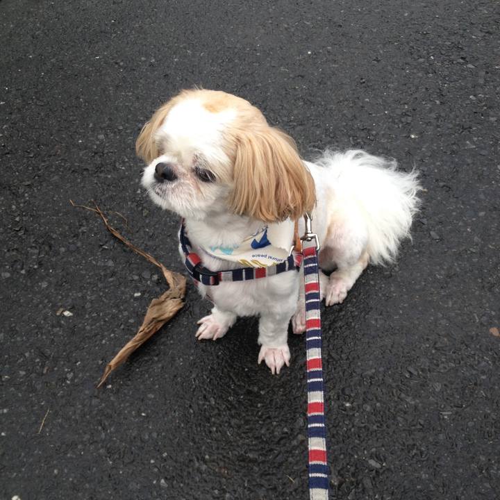 Cd66b394 af24 4f5a 825a c3005e34ed7b