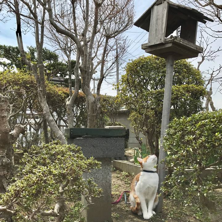 Cd67771e c407 4e1e aa0a 94fd885fe651