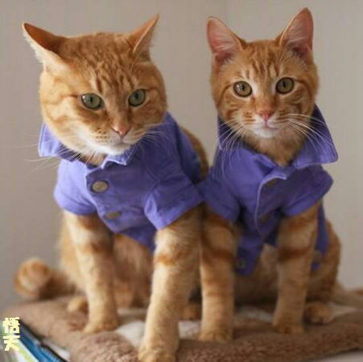 Cd6819a6 079e 4183 ac6e 3a08c8496f4b