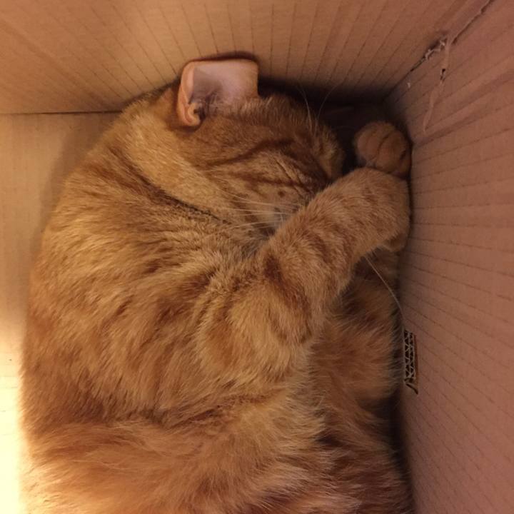 Cd684f76 00bf 406c 95c9 0ec54486be83