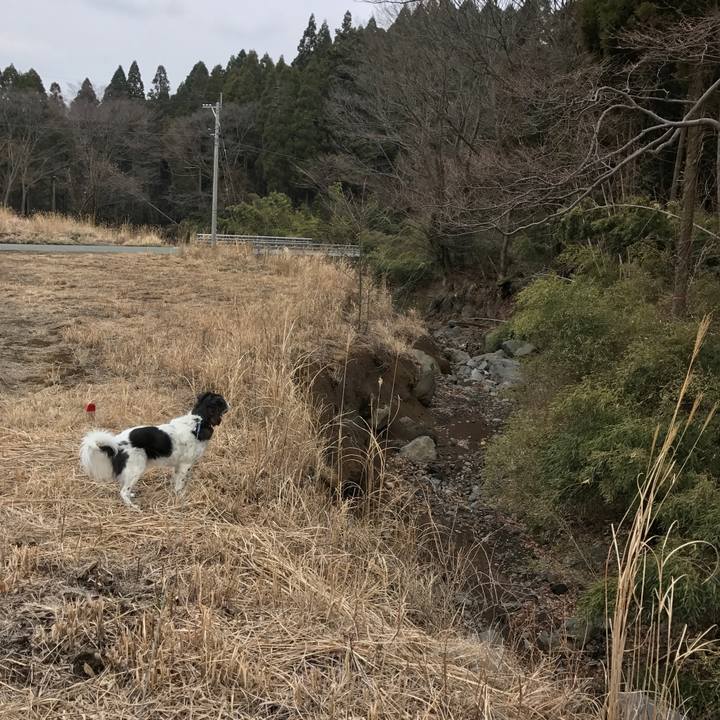 Cd685904 fc2b 47e6 b04a 1fc6c8ef0b9a