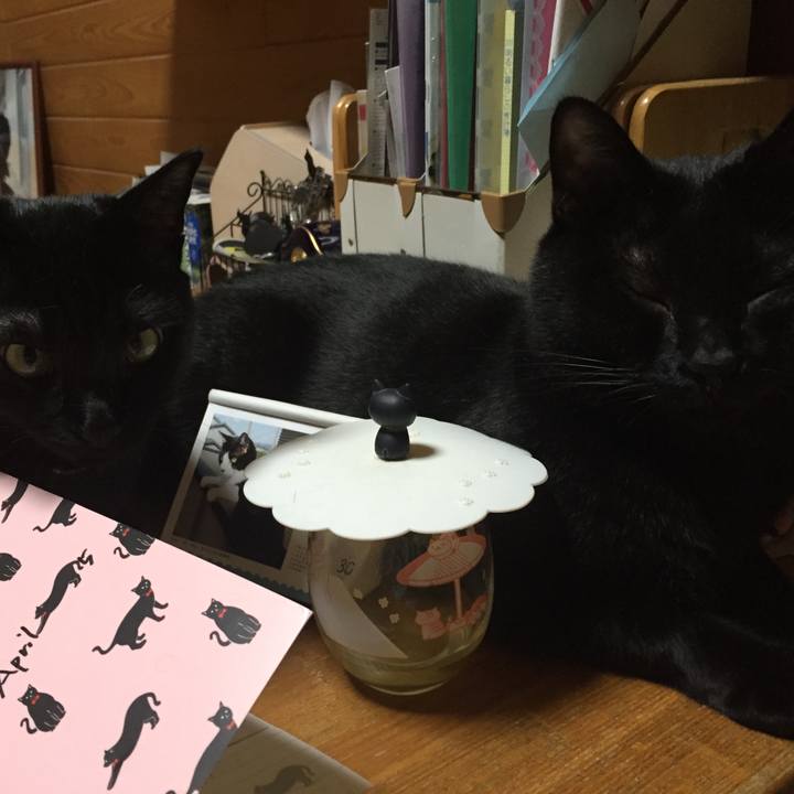 Cd687e99 a78a 4544 9595 5e41728fe695