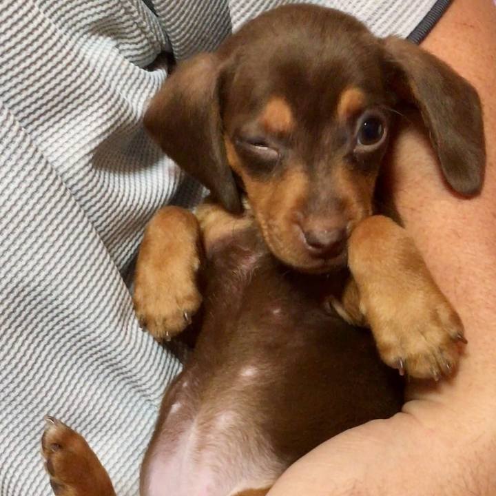 Cd68c2bb 5f1f 4fa5 b696 3c85f9a97fba