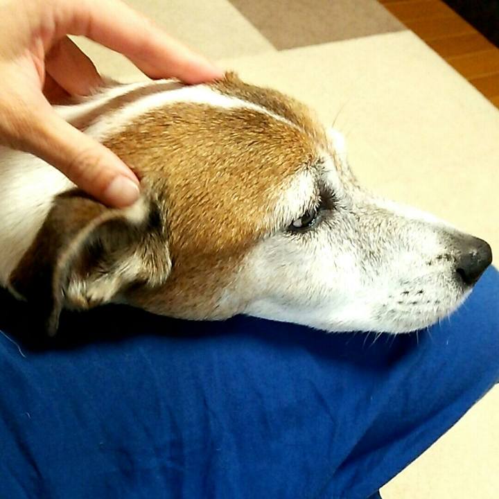 Cd691992 8da9 406e 8c21 caaec5aecb27