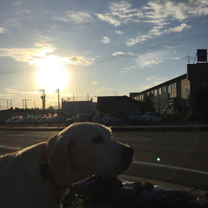 Cd697230 07d7 4063 b59c cab8af897c26