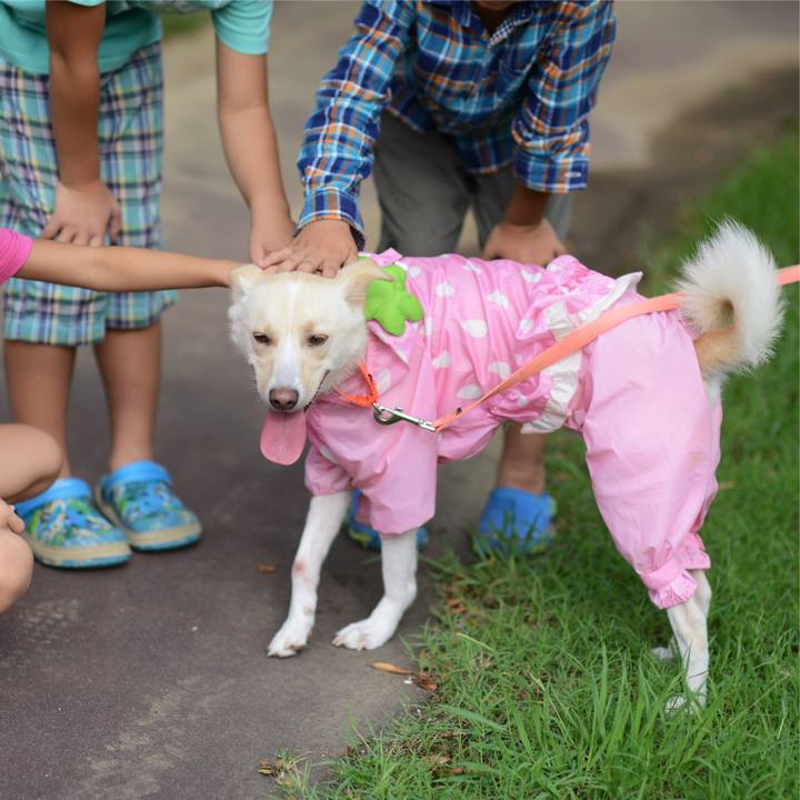 Cd698fbf 17c7 4d7f bb97 ba7358421f3f