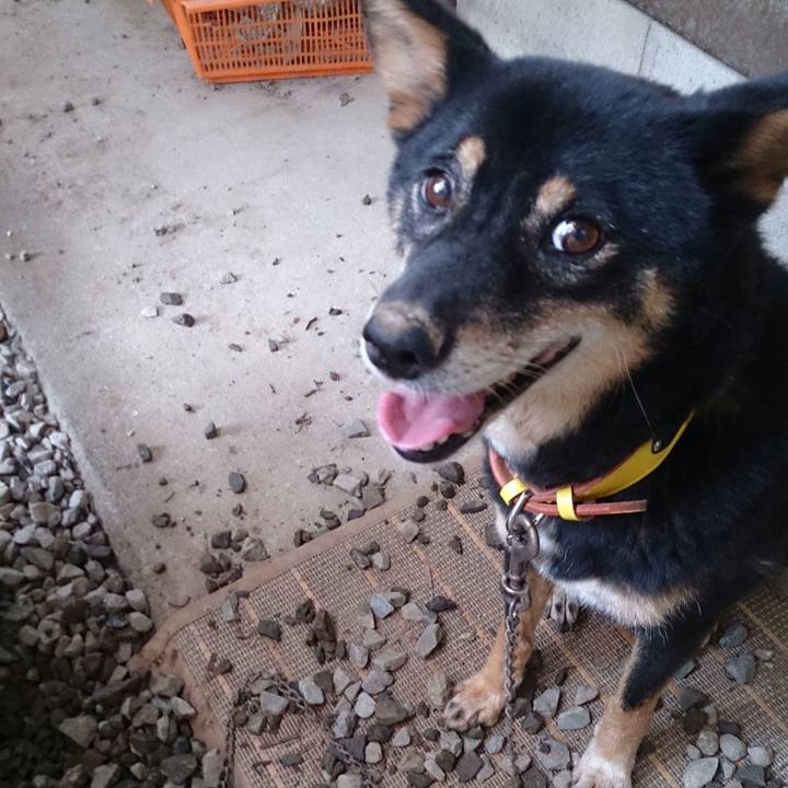 Cd6b1088 b202 4bae 9fe4 72e115f9a3be